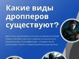 В Нацбанке КР рассказали о разных видах дропперов