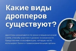 В Нацбанке КР рассказали о разных видах дропперов