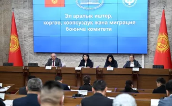 Комитет Жогорку Кенеша одобрил изменения в закон о внешней миграции в первом чтении