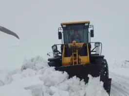 На 304 км автодороги Бишкек-Нарын-Торугарт сошла снежная лавина