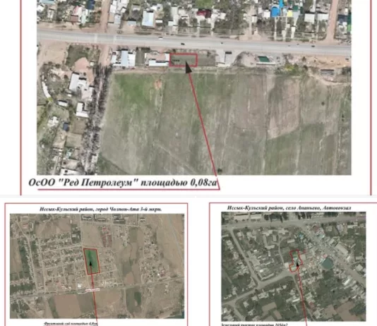 В Чолпон-Ате государству вернули незаконно приватизированные земельные участки