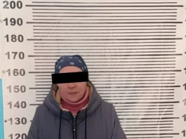 Сама позвонила в милицию: В Чуйской области задержана подозреваемая в убийстве