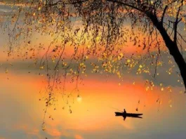 Тишина порождает новые нейроны в мозгу взрослых грызунов