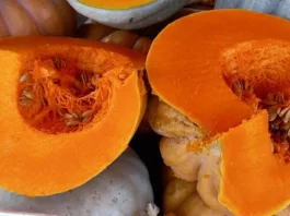 Горох, тыква и слива из Кыргызстана выходят на международные рынки