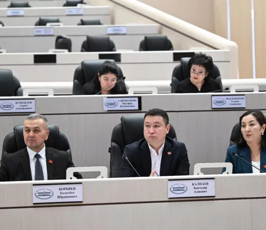 Депутатские группы «Ишеним» и «Ала-Тоо» заслушали информацию о ситуации в сфере здравоохранения