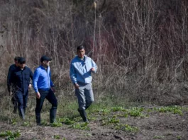 «Второй Ботанический сад» появится в Бишкеке