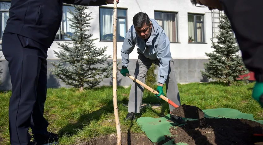 Мэр Бишкека поручил усилить озеленение возле школ