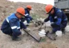 Энергетики усиливают инфраструктуру к VI Всемирным играм кочевников