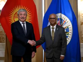 Кыргызстан хочет получить статус постоянного наблюдателя при Организации американских государств