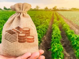 В Кыргызстане начали выдавать льготные кредиты на внедрение водосберегающих технологий