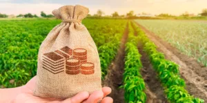 cf10b2b8ca679d5ef79776490c2a18f3