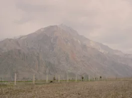 В Погранслужбе Кыргызстана рассказали об упрощении порядка пребывания граждан в приграничной территории и пограничной полосе