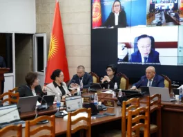 Парламентский комитет одобрил постановление Жогорку Кенеша о предоставлении государственной образовательной льготы детям матерей-героинь