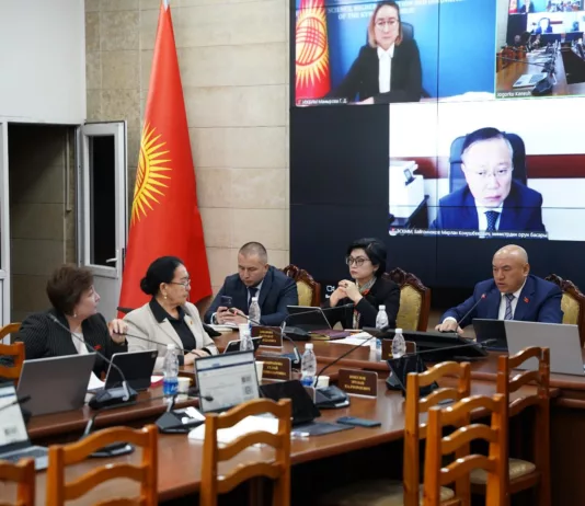 Парламентский комитет одобрил постановление Жогорку Кенеша о предоставлении государственной образовательной льготы детям матерей-героинь