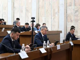 Комитет Жогорку Кенеша рассмотрел законопроект, направленный на усиление ответственности за нарушение выброса мусора