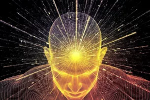 Инстинкт или интуиция: чему довериться