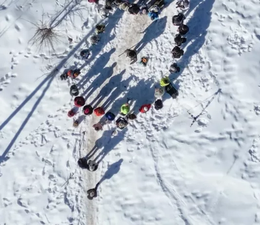 «Надо остановить». Противники строительства курорта на Кок-Жайляу написали письмо Токаеву
