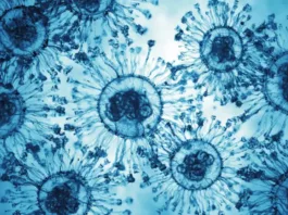 «Цикада» — новый вариант Covid‑19: есть ли повод для беспокойства?