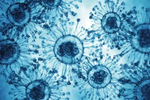 «Цикада» — новый вариант Covid‑19: есть ли повод для беспокойства?