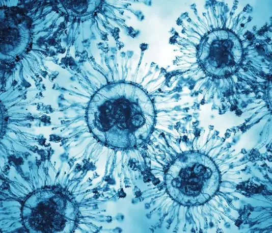 «Цикада» — новый вариант Covid‑19: есть ли повод для беспокойства?