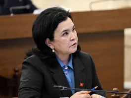 В парламенте Кыргызстана предложили собирать родниковую воду в водохранилища