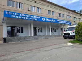 В Минздраве Кыргызстана разъяснили начисление зарплаты сотруднице ЦОВП Иссык-Кульского района