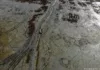 Каспийское море высыхает с пугающей скоростью