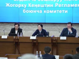 Комитет Жогорку Кенеша одобрил поправки в конституционный закон о ЦИК в первом чтении