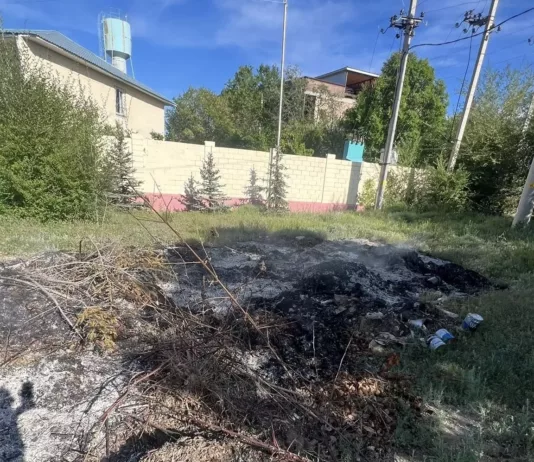 В Чолпон-Ате инспекторы Экотехнадзора  выявили факт незаконного сжигания бытовых отходов в неустановленном месте