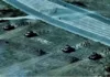 Военнослужащие Кыргызстана принимают участие в международном учении «Эфес-2026»