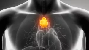 Thymus-glowing-orange-inside-human-body-