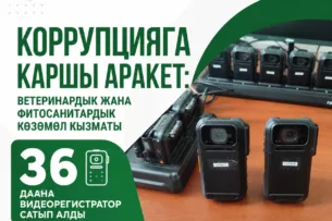 Сотрудников Ветслужбы Кыргызстана снабдят носимыми видеорегистраторами