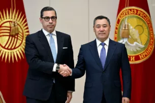 Садыр Жапаров принял министра иностранных дел Кипра