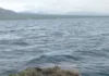 Около 2,5 км старых незаконных сетей подняли со дна озера Сон-Куль