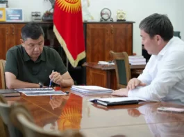Мэр Бишкека поручил проработать вопрос бесплатного провоза детских колясок в общественном транспорте