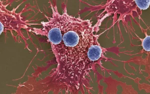 T-and-cancer