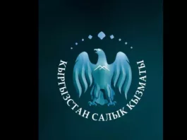 Налоговики Кыргызстана пресекли незаконный ввоз товаров на 1.4 млн сомов