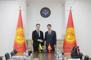 мид кр и литвы