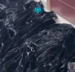 норка