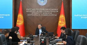 цик рабочая группа